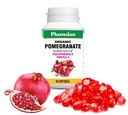 PHARMAKON אורגני Pomegranate, Highly Bioavailable Softgels, Full Spectrum מכיל פוליפנולים + אומגה 5