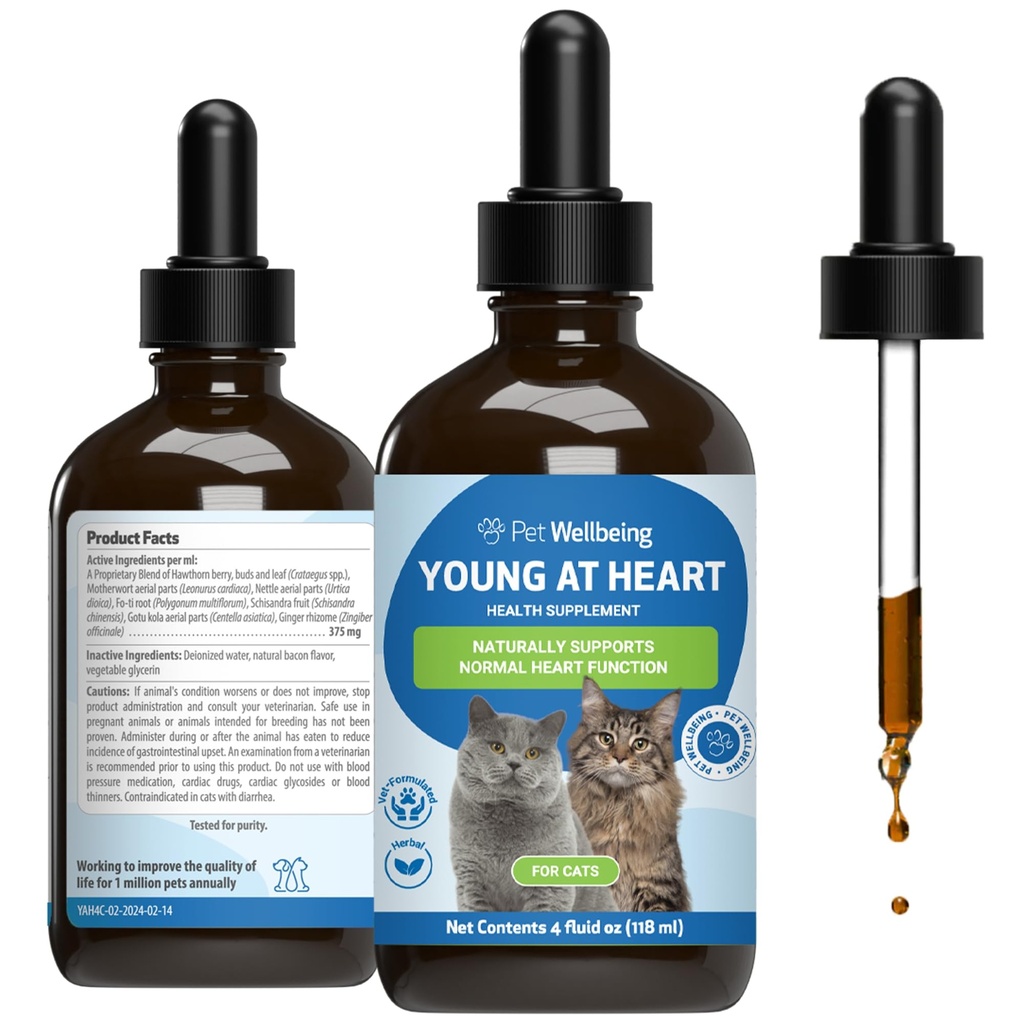 Pet Wellbeing Young at Heart for Cats - Senior Feline Heart Health Support, Cardiovascular Wellness with Hawthorn & Motherwort - NASC Certified & Vet-Formulated - 4 oz Liquid Formula
