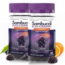 Sambucol Black Elderberry Gummies with Vitamin C & Zinc - Sambucus Elderberry Gummies for Immune Support, High Antioxidants, Gluten Free, Vegan, Elderberry with Zinc & Vitamin C - 30 Count, 2 Pack