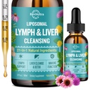 Liposomal Lymphatic Drainage Drops, Liverse ניקוי Detox & תיקון נוזל תוספת עם חלב Thistle, Dandelion, Burdock Root & Echinacea - Lymph & Liver Detox, Antioxidant, Natural Flavor 2 Fl Oz Oz