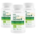 DAO תוסף Histamine Blocker - DAO Enzyme + Diamine Oxidase & Quercetin, Immortelle, ויטמין C לבריאות ומזון תמיכה 180 קפסולות