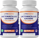 Vitamatic Lactobacillus Gasseri - 12 מיליארד עבור קפסולת DR - 60 הרוזן - תמיכה עיכול - מיוצר עם Prebiotic Inulinfi - 2 Pack