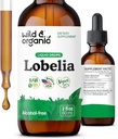 Wild & Organic Lobelia Tincture - Herbal Lungse ו Detox - נוזל Lobelia לחלץ תוספת - טבעוני, סוכר ואלכוהול חינם Herb טיפות - 2 fl oz
