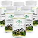 Active Hexose Cor Related Compound 1500 מ"ג תוסף Natural 8 Mushroom, Immune System, Liver Function, Natural Killer and T Cells Activity, 540 ווג'י קפסולות
