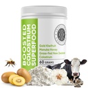 Intestinal for Boosted Colostrum Superfood Dietary: Grass-Fed New Zealand Bovine Colostrum, Gold Kinפרי, Manuka Honey, for Digestion, Immune System, and Gut Health (150 גרמים)