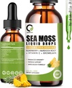Sea Moss Drops 2000 מ"ג, אירי הים Moss תוספת תמיכה Immunity, עם Black Elderberry, Burdock Root, Bromelain, C & Zinc, 2 Fl.Oz, Pineapple Flavoror