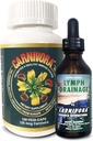 Carnivora The Ultimate Combo - Vegi Caps ו Lymph Drainage כדי לתמוך במערכת החיסון ו Flush Out Waste (Bundle עם 1 בקבוק Vegi Caps ו 1 בקבוק Lymph Drainage)