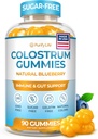 סוכר חינם קולוסטרום חניכיים (1500 מ"ג) Bovine Colostrum עבור בני אדם, Grass-Fed תוסף עבור בריאות Gut, Leaky Gut תיקון, תמיכה במזל, בריאות העור - 35% IgG Per משרת לשרת