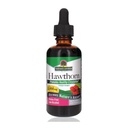 מקור: Nature's answer Organic Holhorn Extract 2 Oz - Low Alcohol, Gluten Free & Kosher - Heart Support - אידיאלי עבור הותורן ברי תה