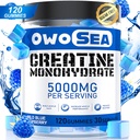 Creatine Monohydrate חניכיים עבור גברים ונשים 5000 מ"ג Creatine Monohydrate לשרת עבור שריר תמיכה אנרגיה Boost 120 הרוזן Chewable 5g Creatine תוספת סוכר חינם (1 Pack, Blue Raspberry)