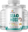Red Sea Mos Pills Pills - Wild Built ד"ר Sebi בהשראת Seamos בלנדר עם Turmeric, Burdock Root & Bladderwrack, Enhanced with Black Pepper - 60 קפסולות