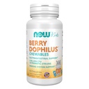 עכשיו תוספי מזון, ברידופילוסTM עם 2 מיליארד, 10 Probiotic Strains, Xylitol Sweetened, Strain מאומת, 60 Chewables, אריזה עשויה להשתנות