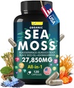 Sea Mosssqua Complex with Sea Mosss, Black Seed Oil, Aşhwagandha, ג'ינג'ר ווויטמינים C, D3-120 קפסולות, Superfoods - גלולות Seamos מתקדמות, Wild Sea Mos Pills, Made in USA