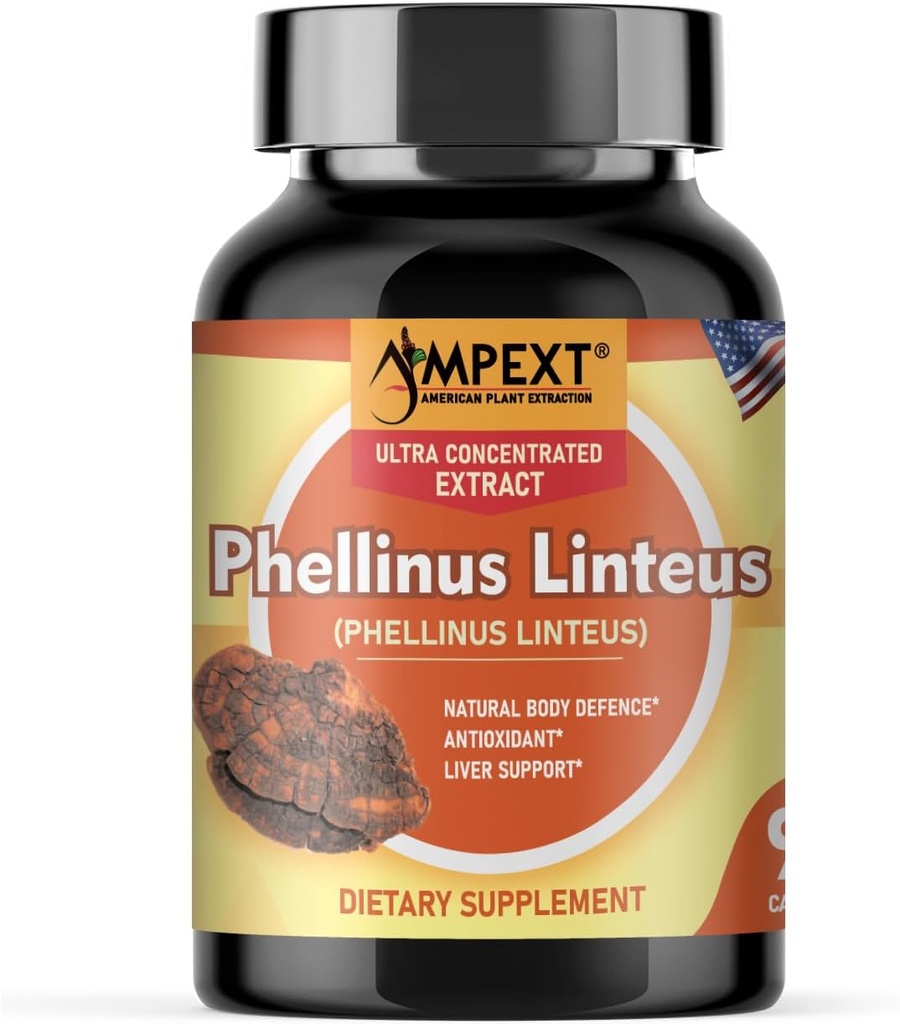 Phellinus linteus Mushroom Extract - איכות פרימיום, רק פירות, Antioxidant, Immunity Booster, Liver Support, 90 Veg Caps.