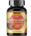 Phellinus linteus Mushroom Extract - איכות פרימיום, רק פירות, Antioxidant, Immunity Booster, Liver Support, 90 Veg Caps.