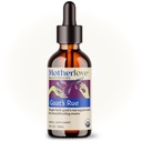 Motherlovet's Rue (2 Ounce Tincture) Lactation תוסף עבור שאלון חלב אם אופטימיזציה של אספקת חלב אם - USDA מוסמך אורגני, טבעוני, כשר, Soy-Free