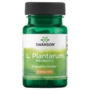 Swanson L. Plantarum - תוסף Digestive לקידום מאזן העיכול של Gastro ו- Bowel סדירות - פורמולה טבעית כדי לעזור להפחית - (30 קפסולות Veggie)