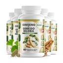 GreeNatr Geneko Biloba & Panax גינזנג תוסף - Red גינזנג לזיכרון ומקדוקו - גינקו בילובה עבור חזון טוב, מערכת החיסון ושיפור זרימת הדם (360 טבליות: 6 בקבוקים)