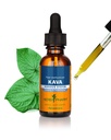 Herb Pharm אורגני Kava Root לחלץ הקלה מתח *: תמצית טבעוני Kava, non-GMO Kava Kava Tincture עבור Calm & מרגיע Mood, Gluten-Free, 1 Oz