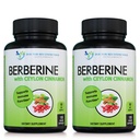 ברברין עם Ceylon Cinnamon - 1200 מ"ג Berberine & 100 מ"ג אורגני Ceylon Cinnamon - 120 קפסולות Veggie, מערכת החיסון בריאה Cardiovascular Heart & Gastro מעיים (Pack של 2)
