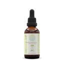 HerbEra Renal System Formula B60 Alcohol-Free Extract, Concentrated Liquid Drops: Cranberry, Corn Silk, Uva Ursi Leaf,Moringa Leaf, Oregon Grape Root. Wildcrafted Bromelain Stem and Fruit. 2 Oz