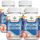 2400MG Liposomal Glutathione, עם ויטמין C, Milk Thistle & Alpha-Lipoic Acid, Master Antioxidants, Pure מופחת L-Glutathione - Immune System, Cell Fix, Energy, High Absorption, 240 Softgelsidants, Pure מופחת L-Glutathione - Immune System, Cell Fix, Cell Fix, Energy, High Absorption, High Absorption, 240 Softgelsorption, 240 Softgelsorption, 240 Softgelsorption, 240 Softgelsorption.