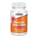 עכשיו תוספים, Prenatal Gels + DHA עם 250 מ"ג DHA לכל מנה, בתוספת שמן Borage (GLA), 90 Softgels