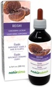 Naturalma Reishi (Ganoderma lucidum) Fungus או Mushroom אלכוהול חינם Tincture - 6.76 fl oz נוזל לחלץ טיפות - Herbal - טבעוני טבעוני