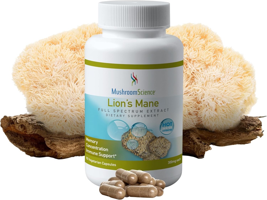 MushroomScience Lions Mane Mushroom קפסולות, תמיכה זיכרון וריכוז, מלא ספקטרום לחלץ, תוסף Mushroom למבוגרים, מים חמים הוציאו Mushrooms, Vegetarian, 300MG, 90 ct