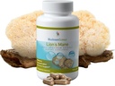 MushroomScience Lions Mane Mushroom קפסולות, תמיכה זיכרון וריכוז, מלא ספקטרום לחלץ, תוסף Mushroom למבוגרים, מים חמים הוציאו Mushrooms, Vegetarian, 300MG, 90 ct