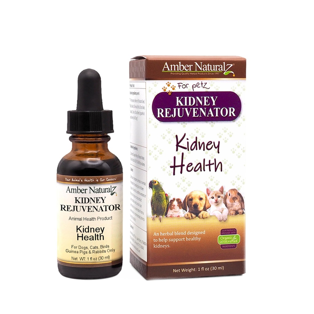 אמבר NaturalZ Kidney Rejuvenator Herbal תוסף לכלבים, חתולים, ציפורים, ארנבים וגינאה חזירים | תמיכה רגילה Kidney Function
