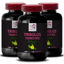 Dynamic Energy Source - TRIBULUS TERRESTRIS EXTRACTS - Natural Strength Boost, Body Muscle Recovery, Pure Power Surge, Active Support, Plant-Based Formula, Physical Energy 3 Bottles 180 Tablets