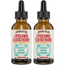 ליposomal Glutathione נוזלי 2000MG - Antioxidant Detox תוספת עבור נשים וגברים, Aging Defense, Liver Function & Energy, עם Hyaluronic Acid + Aloe Vera + ויטמין C, טבעי ו טבעוני, 4 FL.OZ