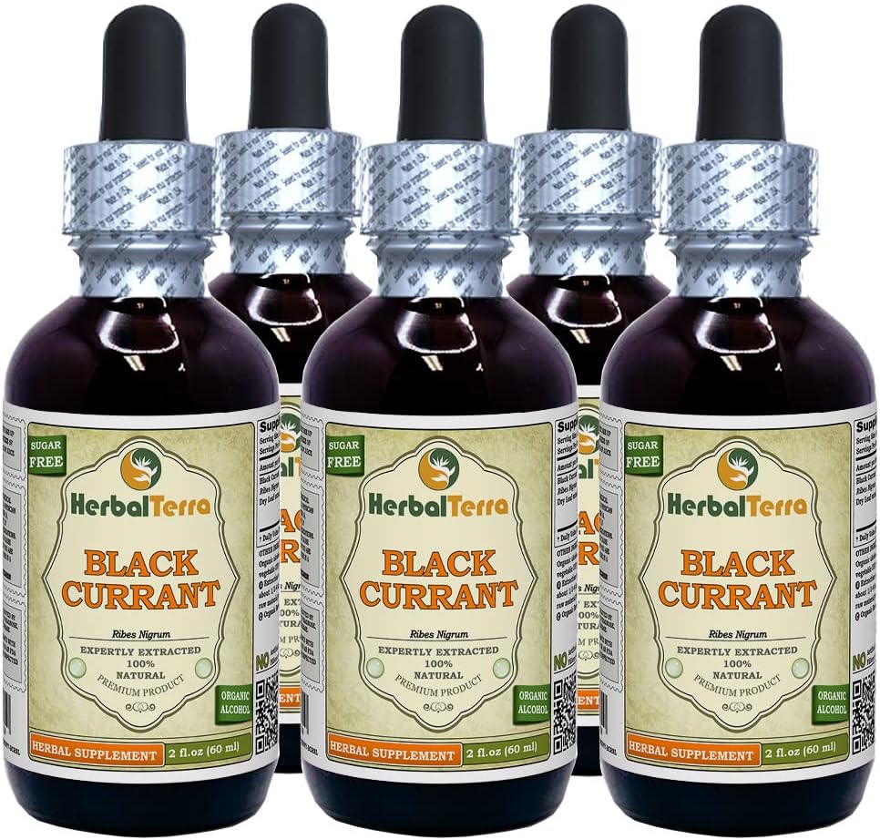 Black Currant (Ribes nigrum) Tincture, Dried Leaves נוזל לחלץ (שם בדוי: HerbalTerra, המיוצר גאה בארה"ב) 5x2 fl.oz (5x60 מ"ל)