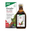 Flordix Iron & Herbs - תוסף צמחי נוזלי לתמיכה באנרגיה - תוספת ברזל עם ויטמין C & ויטמין B Complex - עבור גברים ונשים - 8.5 oz oz oz