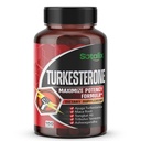 Ultra Turkesterone Ajuga Turkestanica סטנדרטיזציה 20% טורקיסטרון High Potency עם Maca Root Tribulus Terrestris - כאבי גדילה אנרגיה תמיכה