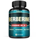 Satoomi 25in1 Berberine תוסף - Berberine Hcl - Ceylon Cinnamon - Milk Thistle ועוד
