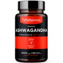 PhiNaturals אורגני Ashwagandha שורש לחלץ קפסולות טבעוניות שווה ל 6000 Mg Root - Ashwaganda תוספת לגברים ונשים עם 1500 Mg Per המשרת 30 משרתים - 500 מ"ג Per Vegan קפסולת 90 הרוזן