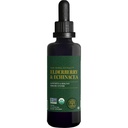 Global Healing USDA Organic Elderberry & Echinacea נוזל תוסף Tincture | תמיכה ב- Antioxidant Immune Against Harmful Organisms for Adults and Kids, Vegan, non-GMO, 1-Month Supply אספקת (2 עוץ)