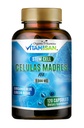 Celulas Madres AFA Stem Natural Cell 120 קפסולות 1000 מ"ג כחול Algae non GMO Gluten חינם Aphanizomenon Flos-aquae סלולה המונחים: