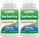 Best Naturals Berberine 500 מ"ג 120 קפסולות - תומך בתפקוד Immune, Cardiovascular & Gastro מעיים פונקציונלי (120 Count (Pack of 2)