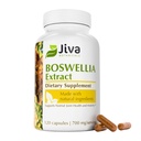 Jiva הבוטנים Boswellia לחלץ קפסולות 700 מ"ג לכל המשרת - Boswellia Serrata Extract תוסף & Black Pepper - תוספת תמיכה משותפת לבריאות משותפת - 120 קפסולות (Pack of 1)