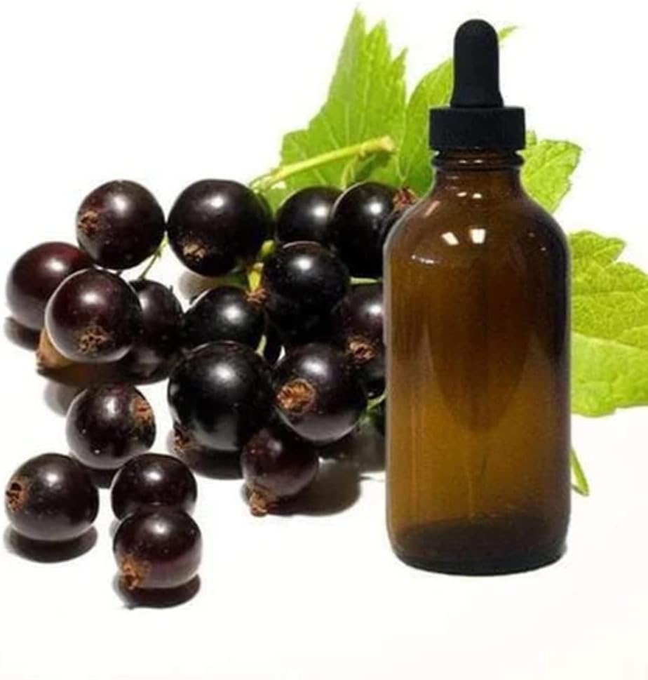 Black Currant Seed Oil 1/4oz דוגמאות
