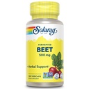 SOLAרי פריצה שורש באט אורגני beets - Beet Root כמוסות בשימוש מסורתי לאנרגיה, אנדורנס, Blood Flow, Heart Health Support - טבעוני, non-GMO, 60 יום ערבות, 100 VegCaps