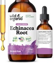 Wild & אורגני Echinacea Tincture - Immune Support טיפות עם נוזל Echinacea שורש לחלץ - Angustifolia תוספי - טבעוני, סוכר ואלכוהול חינם - 2 oz