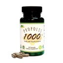 GREENBOW Propolis 1000mg NonGMO מיוצר עם אורגני Propolis 60 קפסולות VEgan CAPSULES