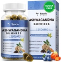 Totaria Sugar Free Ashwagandha Filled Gummies 2,500 מ"ג w/Vitamin D3, Magnesium Glycinate, Rhodiola, Ultra Power Ashwa Roots for Women & Wen, forlaxation, Energy, Blueberry Flavor Flavor