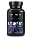 לוי איתן Betaine HCl עם פפסין & ג'ינג'ר - תוסף Enzymes Digestive עבור Digestion Aid & Support, Stomach Acid & Foodsent Absorption