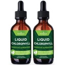 AGE Chlorophyll נוזל טיפות - ריכוז טבעי - אנרגיה Booster, עיכול מערכת החיסון תומך, פנימי Deodorant, Liver function - (2 Fl Oz (Pack של 2)