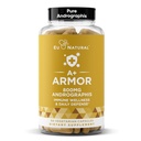 A+ Armor Andrographis Pure 800 Mg - פונקציונלי מערכת החיסון בריאה, בריאות גופנית, כוח פוטנט להגנה עונתית - מלא-Spectrum & Standardized - 60 קפסולות טבעוניות רך